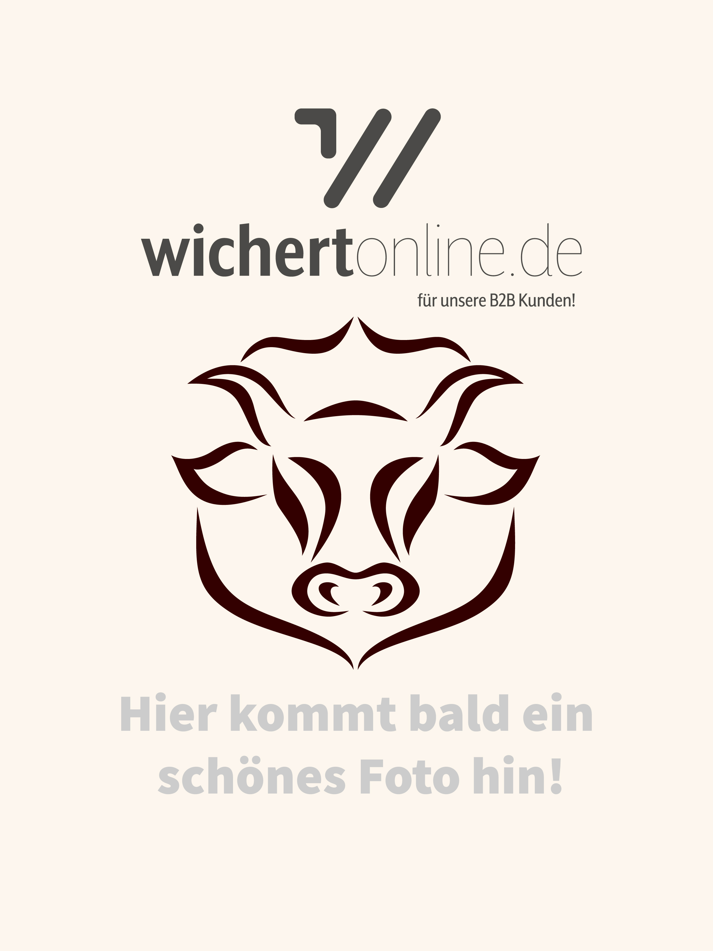 Feine Bratwurst 10x120g von Bleyer & Wichert 